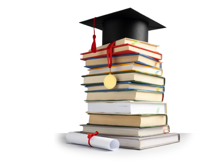 curriculum